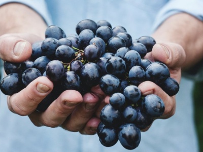 Niemieckie media nie mogą się nachwalić polskich win. 