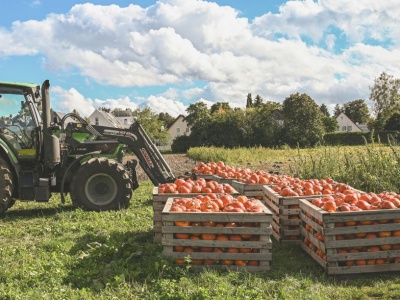 Premie na rozwój małych gospodarstw 2025 – dostępne tylko do końca listopada