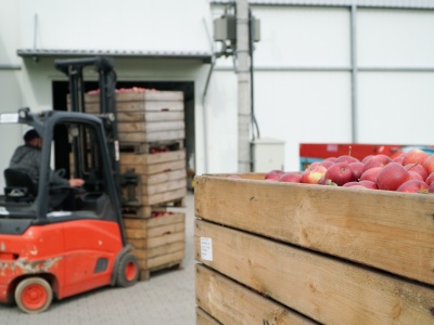 Opłata mocowa w górę. Droższe przechowanie i sortowanie jabłek