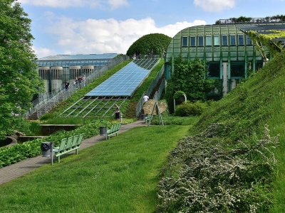 Kradzież Starodruków z BUW. Wystawione na sprzedaż w Rosji