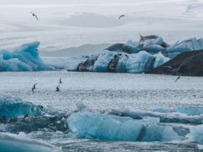 Znika w przerażającym tempie. Badacze ostrzegają przed skutkami