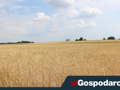 Otrzymaj przelew nawet 120 000 zł. „Rozwój małych gospodarstw”