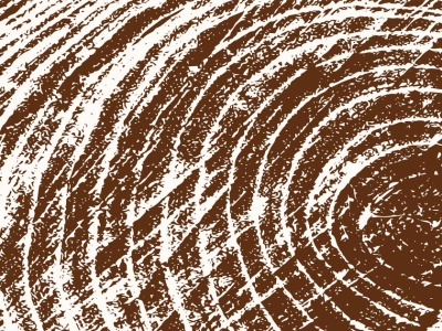 Drewno przestało drożeć, a firmom wiedzie się lepiej - twierdzi resort klimatu. Branża łapie się za głowę i wieszczy armagedon