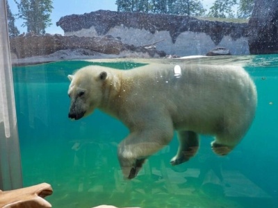 Hotele jak z bajki! Te miejsca warto odwiedzić chociaż raz w życiu