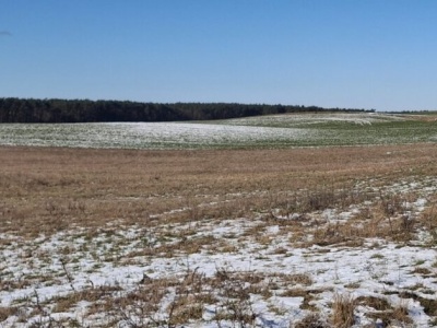 Pierwsze mrozy coraz później. W Polsce to realny problem