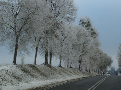 Zima w Polsce ma przyjść szybciej niż zwykle. Padła data, od kiedy spodziewać się śniegu