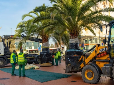 Palmy zostały zabrane z rynku. Pojechały do oczyszczalni ścieków