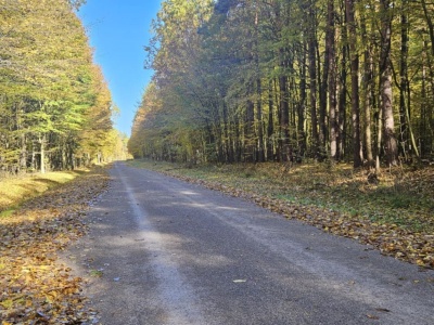 Klimatyczny gościniec na ziemi radomskiej otwarty dla rowerzystów! Turyści uwielbiają to miejsce