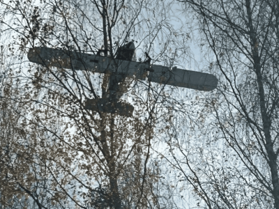 Dron z kontrabandą rozbił się na drzewie. W środku setki paczek papierosów