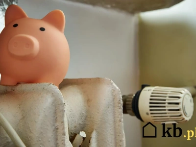 Wielki test ogrzewania: pompa ciepła kontra pellet – zwycięzca zaskakuje!