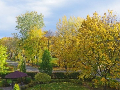 Jesienny quiz dla każdego. 10/10 może zgarnąć każdy. Sprawdź się!