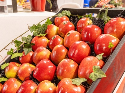 Największe targi sadownictwa 2025!