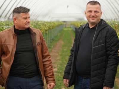 VIII Kongres Jagodowy już za dwa miesiące w Mszczonowie