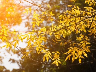 Pogoda na piątek. Dużo słońca na koniec tygodnia