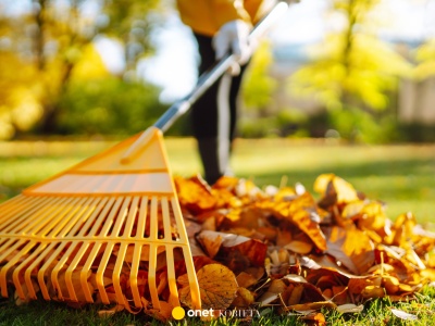 Te rośliny należy przyciąć w listopadzie. Zrób to, zanim zniszczy je mróz