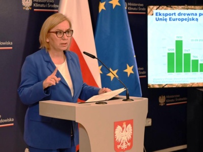 Czyste Powietrze. Minister mówi o sukcesach, eksperci reagują ostro