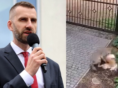 Znowu wilk zagryzł psa. Czy ministerstwo coś zrobi zanim dojdzie do tragedii?