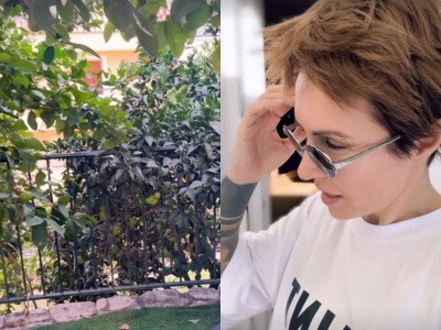 Blanka Lipińska nie mogła uwierzyć, gdy zobaczyła, co stało się w jej ogrodzie. 