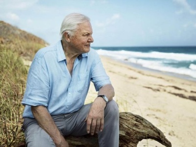 Ma 99 lat i nie zwalnia tempa. Sir David Attenborough wraca z nowym serialem przyrodniczym