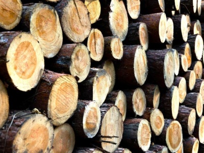 Drewno opałowe drożeje. Za metr sezonowanego surowca trzeba zapłacić nawet 900 złotych