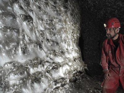 Największa pajęczyna na świecie. Liczy 111 tys. pająków