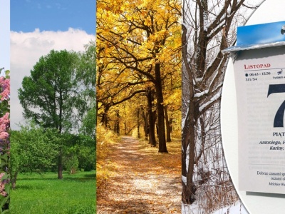 Listopad to pestka, a skąd się wziął maj? Podchwytliwy quiz z nazw miesięcy. 12/12 dla geniuszy