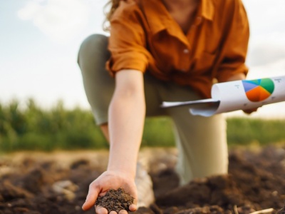 Warzywa na zimę? Sprawdź, co i jak sadzić w listopadzie