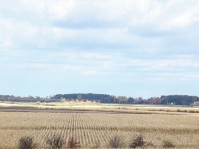 Kogo obciąża afera z działką pod CPK? Polacy zabrali głos