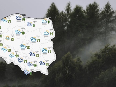 Niemal cała Polska spowita we mgle. Ostrzeżenia dla 15 województw