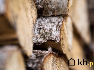 To drewno wygląda idealnie, ale podczas palenia ujawnia swoją ciemną stronę