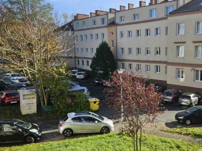 Zielona Góra. To już jest parko-terror (LIST I ZDJĘCIA CZYTELNIKA)