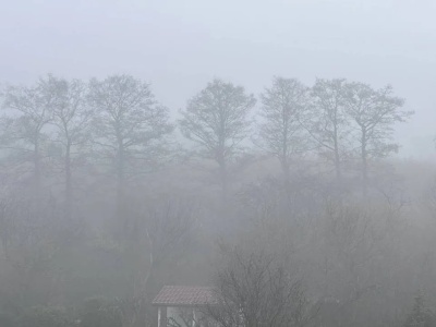 Gęsty mgły. IMGW ostrzega północną Polskę