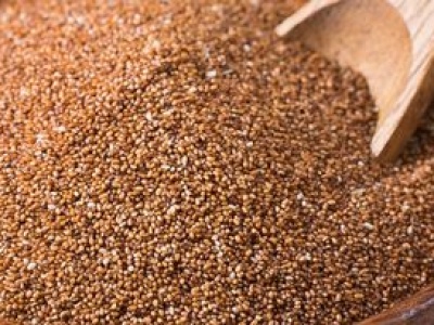 Skarbnica wapnia, której Polacy używają bardzo rzadko. Polecana dla kontroli wagi