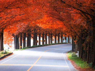 W tym kraju jesień jest najpiękniejsza. „Warto przeżyć co najmniej raz w życiu”