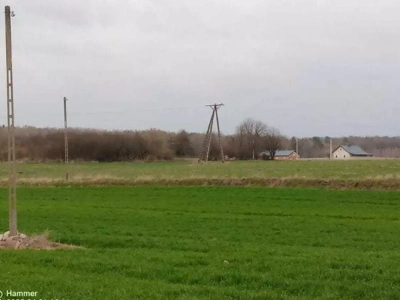 Przez twoją działkę idzie linia energetyczna? Sprawdź, ile możesz dostać