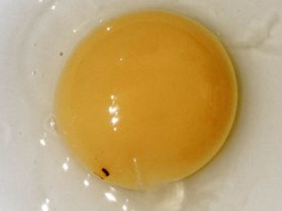 Czym jest czerwona plamka na jajku? Wzbudza obrzydzenie, a nie każdy wie, co oznacza