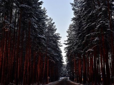 Jak przetrwać zimowy poranek w drodze do pracy – małe rytuały, które robią różnicę