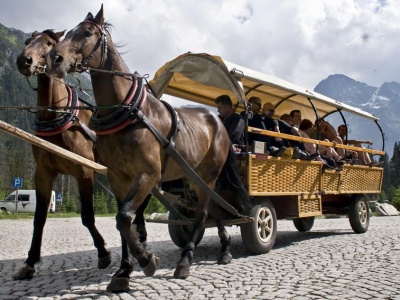 Fiakrzy zamówili badania koni z Morskiego Oka. Pojazd dociążony jest 1650 kg