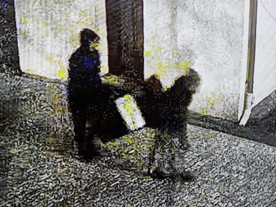 Ukradli kościelną skarbonę!