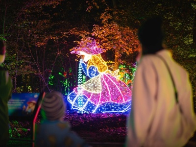 Co otwarte 11 listopada w Lublinie? Lista atrakcji, basenów, muzeów i kin czynnych w Święto Niepodległości