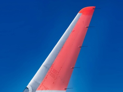 Koniec z tym elementem w samolotach. Powód? Natura znalazła lepsze rozwiązanie