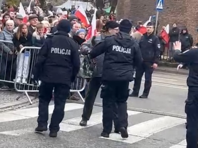 Incydent podczas obchodów Święta Niepodległości w Krakowie. Mężczyzna wyprowadzony przez policję (Video)