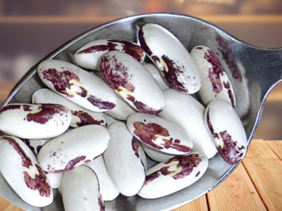 Najbardziej patriotyczna roślina w polskim ogrodzie. W czasach zaborów za jej uprawę groziły kary