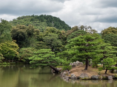 Odizolowana grupa miała DNA zupełnie inne od pozostałych. Odkrycie z Japonii podważa historię ludzkich migracji
