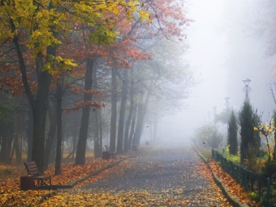 Pogoda na środę | Mżawki i mgły