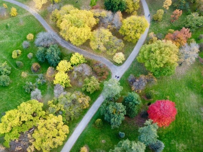 Zielona przestrzeń to mniej hospitalizacji z powodu zaburzeń psychicznych