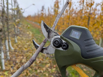 Wczesny start cięcia zimowego? Nie ma się czego bać i zmuszają nas do tego realia…