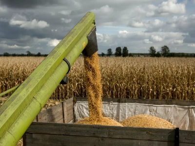 Wartość produkcji rolnej w Polsce mocno w górę. A Europa na minusie