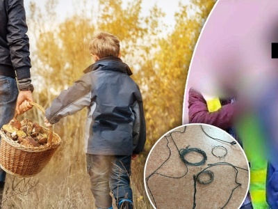 Wstrząsające odkrycie grzybiarzy pod Puławami. Podejrzany o makabrę w rękach policji