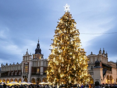 Polska choinka wyróżniona. To tu znajdziesz najpiękniejsze drzewka bożonarodzeniowe